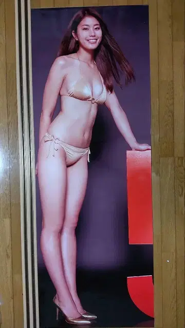 이나무라 아미 등신대 포스터