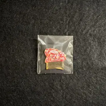 오사카 간사이 엑스포 이이다 홀딩스 & 오사카 공립 대학 한정판 핀 배지