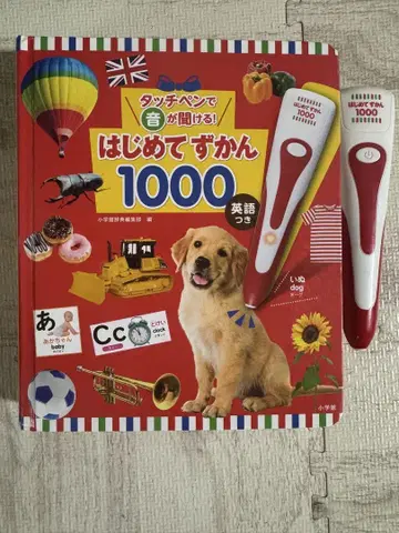 처음 도감 1000 영어 포함