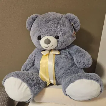 My Cute Bear 숏 타입 50cm 그레이