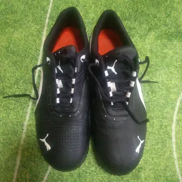Puma 골프화 블랙 27cm