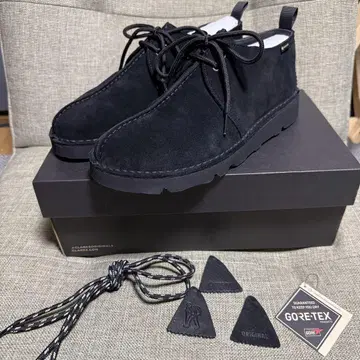 Clarks Desert Trek GTX