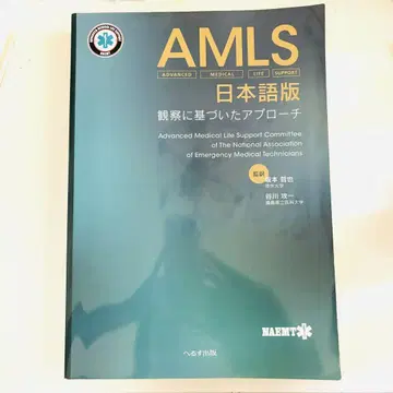 AMLS 일본어판 관찰 기반 접근 방식