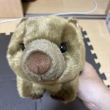 웜뱃 와인 씨 봉제 인형