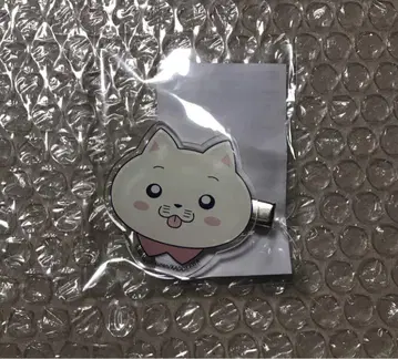 빛이 죽은 여름