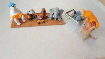 동물 사우나 사우나 키트