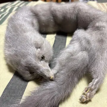그레이 인조 모피 스카프