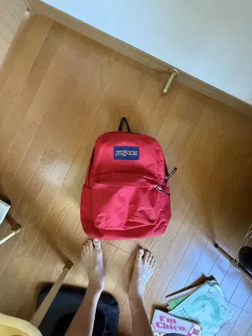 JANSPORT 빨간색 백팩 y2k