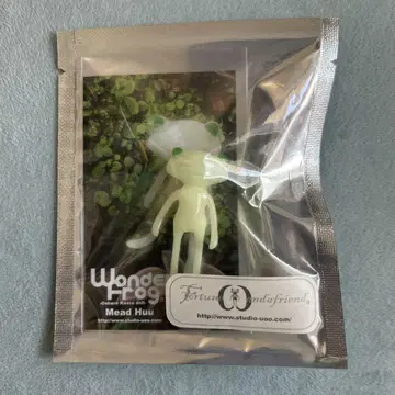 WonderFrog 포춘완다 미드후