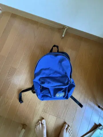 00년대 OUTDOOR 파랑 백팩 y2k 착용 사진 있음