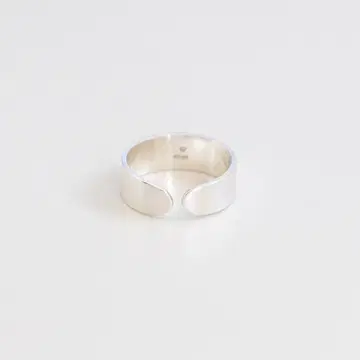 UNKNOWN. U040 ' BOARD1 ' RING / SILVER