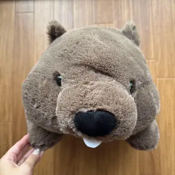 땅딸막한 웜피 울트라 BIG 웜뱃 봉제 인형