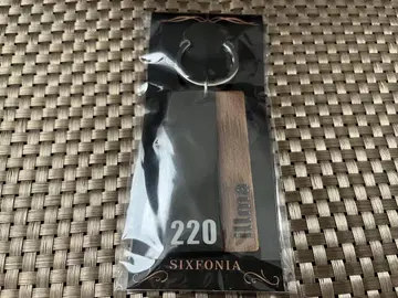 시쿠포니 이루마 2025 생일 기념 룸 키링
