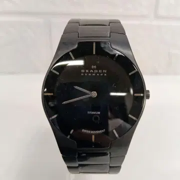 SKAGEN DENMARK 블랙 티타늄 손목시계