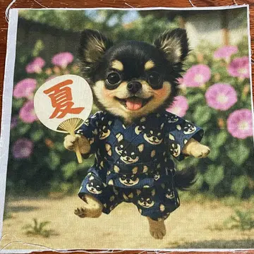 라스트! SALE 여름 축제 치와와