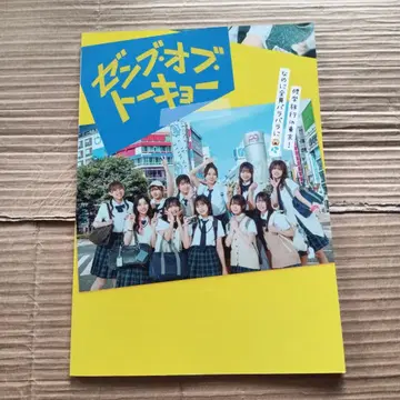 젠브 오브 도쿄 팜플렛 레어 히나타자카46
