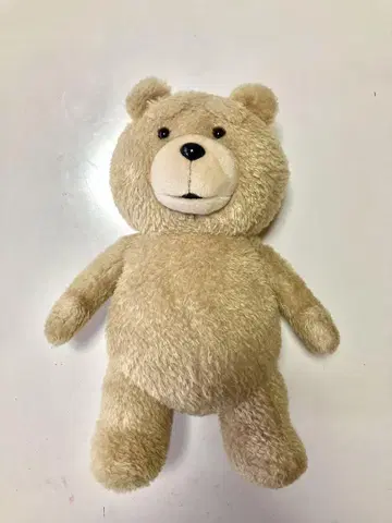 Ted 곰 봉제 인형