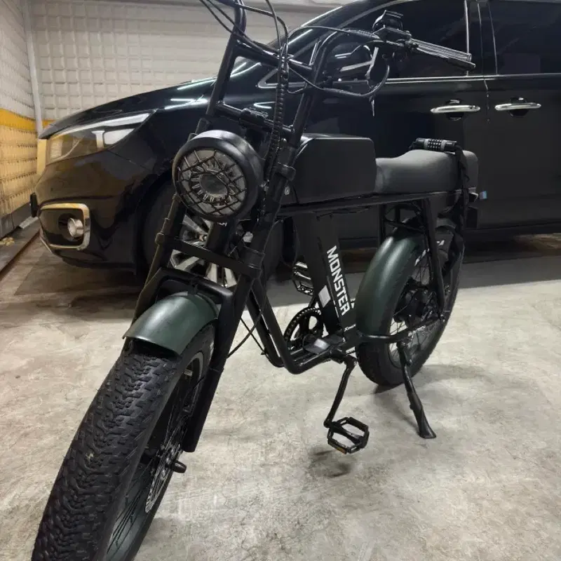 X-Track 몬스터b 전기 자전거 500W 48V12.5Ah