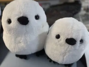 시마에나가 봉제 인형 세트 홋카이도