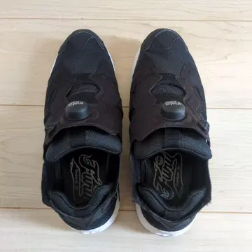 펌프 퓨리