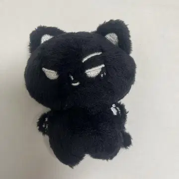 ENHYPEN 제이 JAY 인형 봉제 인형 마스터 10cm