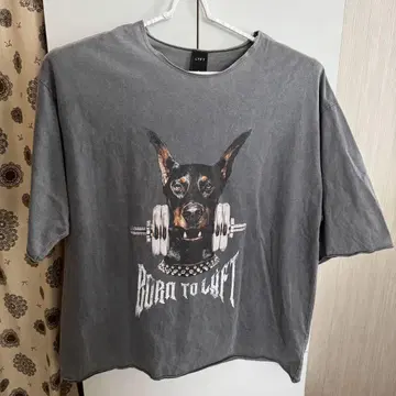 LYFT DOG GRAPHIC VINTAGE BIG T-SHIRT