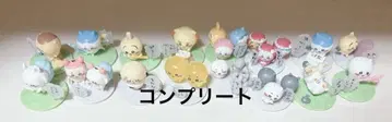 치이카와 초코 서프라이즈 컴플리트 세트 16종류