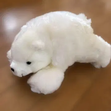 핫케이지마 씨 파라다이스 흰곰
