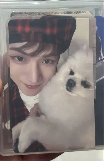 boynextdoor 리우 라키드롭 창이 트레이딩 카드