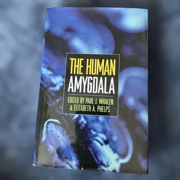 THE HUMAN AMYGDALA