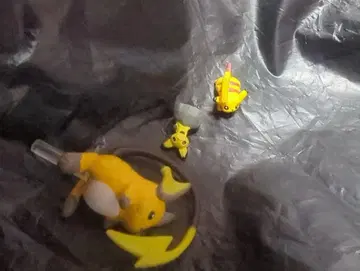 포켓몬 입체 도감 라이츄 피카츄 1/40 scale