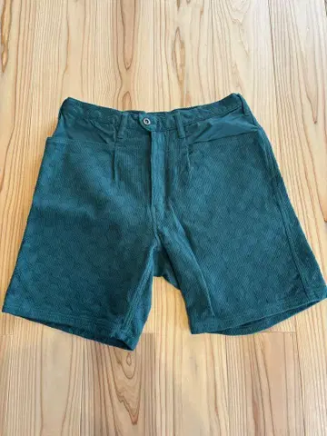 THE UNION / THE FABRIC LW shorts
