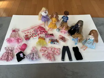 리카짱 인형 세트와 의상 잡화