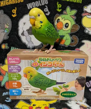 매일 재잘거리는 천재 잉꼬 타카라토미