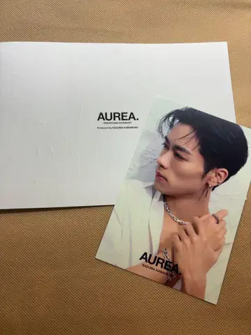 AUREA 카와무라 카즈마 엽서 미니 포토북 세트