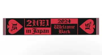 2NE1 welcome back 프린지 부착 자카드 타월 빨간색 Red