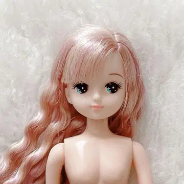 거의 미사용 리카짱 캐슬 오타노시미 인형 키라짱 믹스 헤어