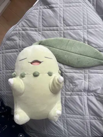 포켓몬 슬립 봉제인형 연한 녹색 치코리타