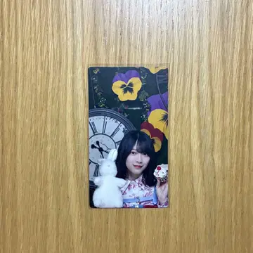 사쿠라자카46 사쿠코레 리얼 카드 모리타 히카루