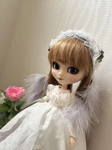 할인 관련하여