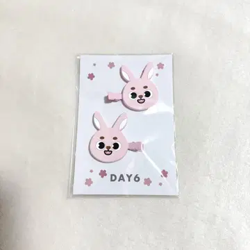 DAY6 PIL 원필 헤어 클립