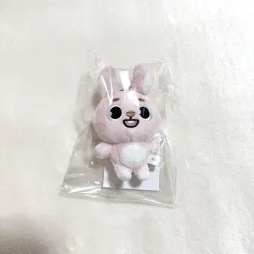 DAY6 PIL 원필 백참 봉제 인형 마스코트