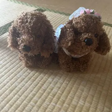 웨딩드레스와 턱시도 봉제 인형 토이 푸들