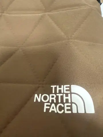 THE NORTH FACE 브라운 숄더백