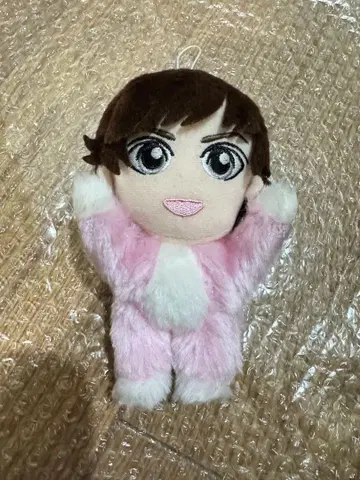 카토 시게아키 속 봉제 인형 NEWS