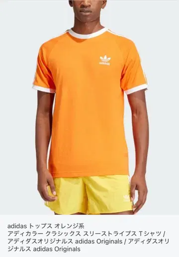 adidas 아디컬러 클래식 쓰리 스트라이프 티셔츠
