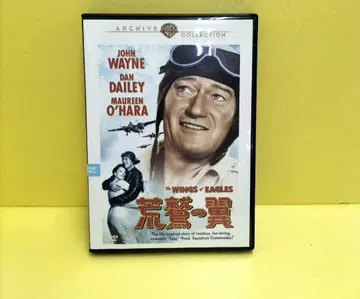 황야의 독수리 렌탈 DVD