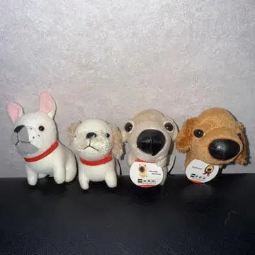 오늘의 강아지 THE DOG 세트