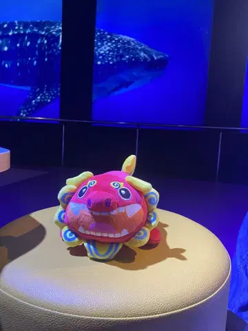 DMM 카리유시 수족관 컬러풀 시사 복권 (오키나와 한정)