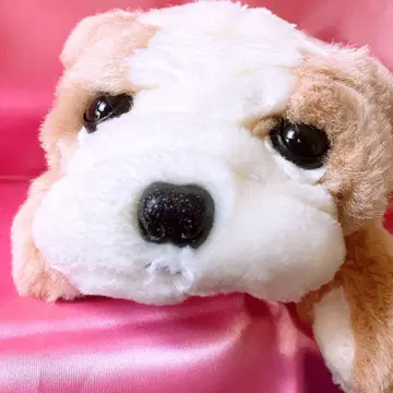 구하기 어려움 90년대 빈티지 ty 불독 강아지 봉제 인형 비니 베이비